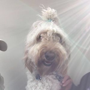 Meet your Posher, Leann